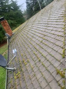 Good View Gutter & Window Cleaning (7)